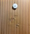 IMG_4573.jpeg