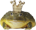 1788195911339.png
