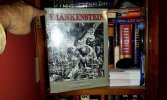 frankenstein 1.jpg frankenstein 1.jpg