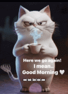 1788270193567.gif