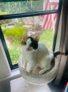 IMG_2225.jpeg
