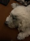 IMG_0647.jpeg