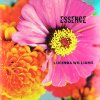 Lucinda Williams - Essence.jpg