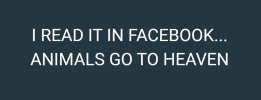 Screenshot 2026-09-03 110840.png