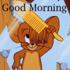 1788443937017.gif