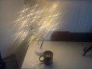 IMG_5261.jpeg