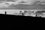 _CMY7780BW.jpg