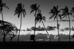 _CMY9075-BW.jpg
