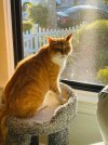 IMG_5904.jpeg