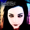 Evanescence - Fallen 20th Anniversary.jpg