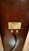 IMG_7308.jpeg