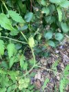 IMG_9483.jpeg