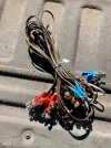 IMG_0148.jpeg