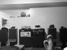 IMG_8607.jpeg