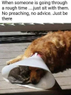 1788979169140.png