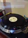 IMG_0226.jpeg