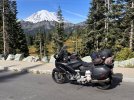 IMG_2332.jpeg
