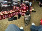 IMG_4878.jpeg