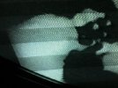 IMG_0257.jpeg