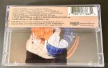 IMG_7495.jpeg