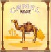 camel 1.jpg