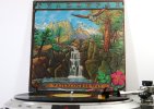Shadowfax - Watercourse Way_1000.JPG