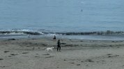 IMG_5750.jpeg