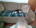 IMG_20260917_114851825.jpg