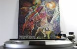 Polyphony - Without Introduction.JPG