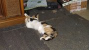 IMG_20260917_211920230.jpg