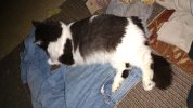 IMG_20260917_212018190.jpg