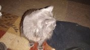 IMG_20260917_212005209.jpg