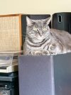 IMG_7547.jpeg