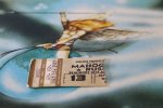 Mahogany Rush -World Anthem_1200_ticket.JPG