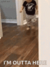 1789956062994.gif