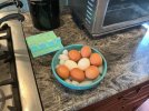IMG_0083.jpeg