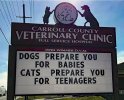 dogs and cat message - vet.jpg