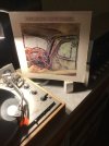 IMG_0726.jpeg