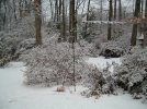 Winegard-2005.jpg Winegard-2005.jpg