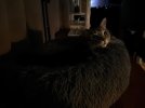 IMG_4503.jpeg