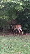 IMG_1433.jpeg