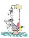 a2.webp