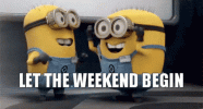 IMG_0778.gif