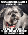 1790370365055.png