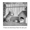 1790370437634.png