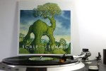 Scale The Summit - The Migration__.JPG
