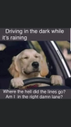 1790525827388.png