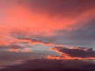 IMG_3777.jpeg