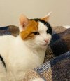 IMG_2098.jpeg