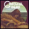Grateful Dead - Wake Of The Flood.jpg